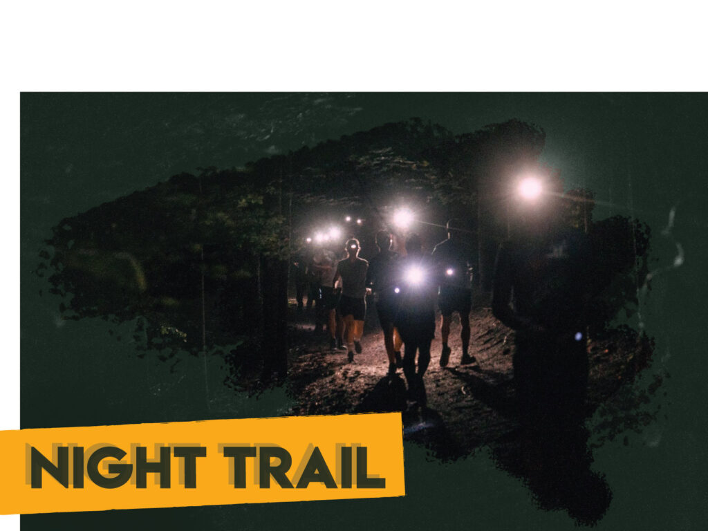 night-trail_w